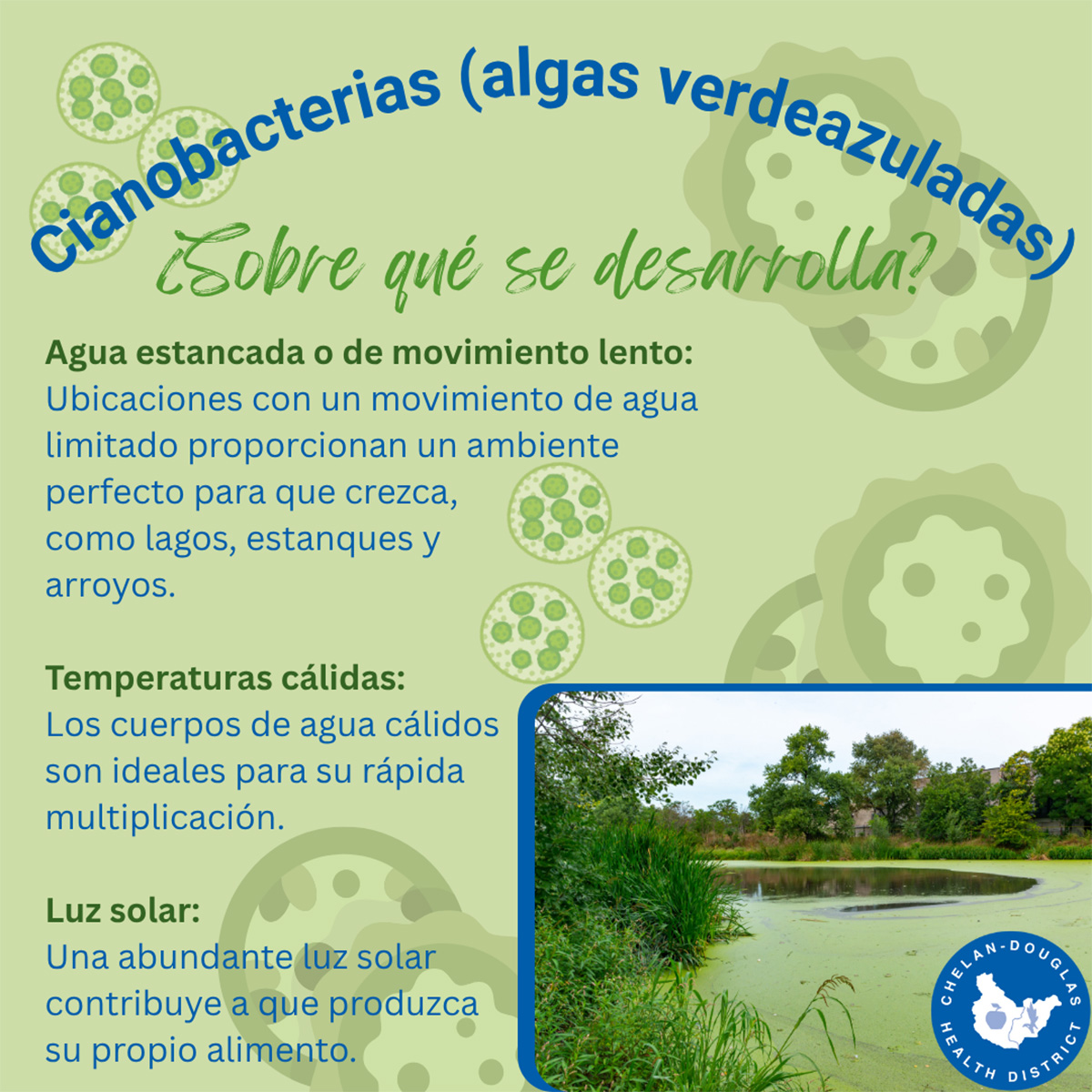 Cyanobacteria SPN